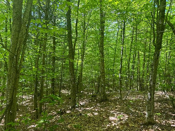 3rd image of 1.4 Cobble Creek Rd #4