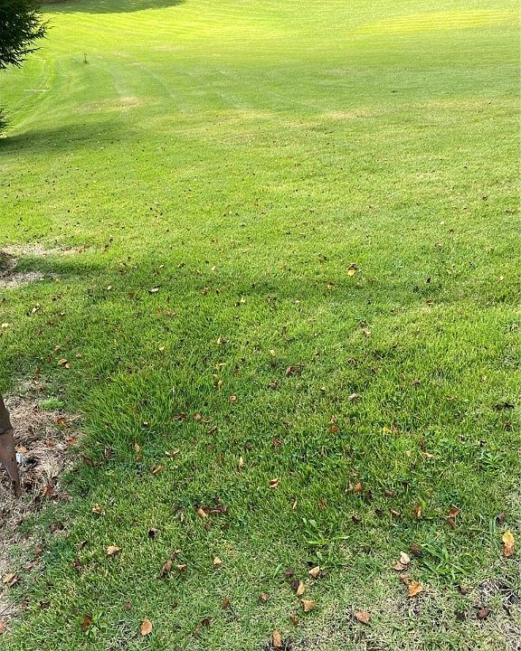 2nd image of LOT 6 Still Rd