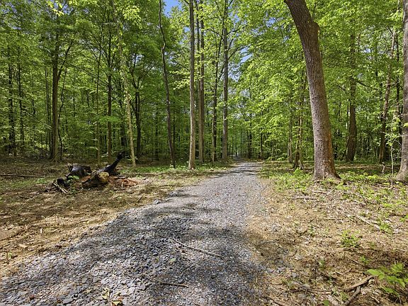 4th image of 168 County Rd
