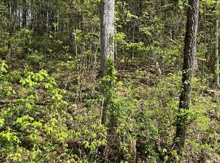 6 Bear Creek Rd, New Tazewell, TN 37825