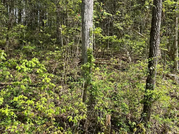6 Bear Creek Rd, New Tazewell, TN 37825