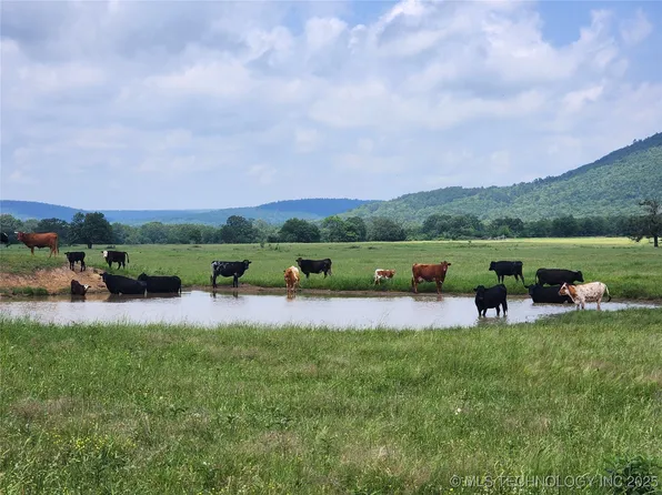 8014 Highway 63, Talihina, OK 74571