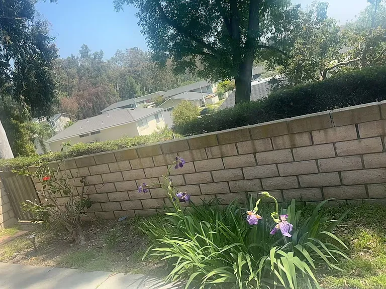 Backyard/garden; Mountain View can be seen from the suite for rent