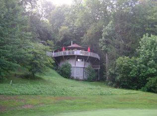 155 Divot Dr, Canton, NC 28716