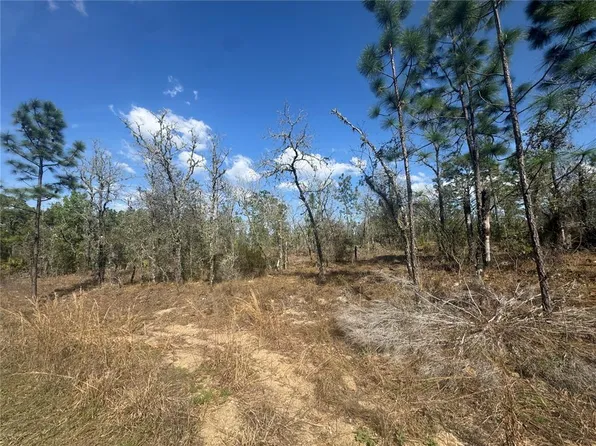 NE 155th Ave Lot 7, Williston, FL 32696