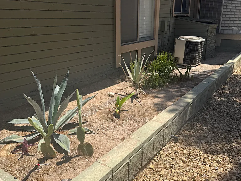 1525 Dorothy Ave #1 — Photo 17