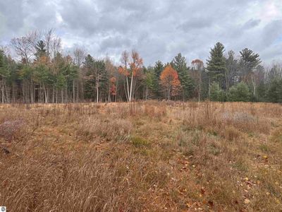 Newman St, East Tawas, MI, 48730