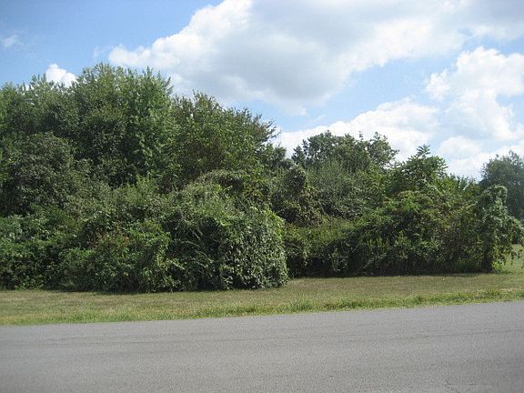 4th image of 11801 Hidden Trails Dr