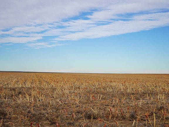 3rd image of 0 County Rd