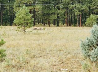 428 N Skylane Rd, Pinetop, AZ 85935