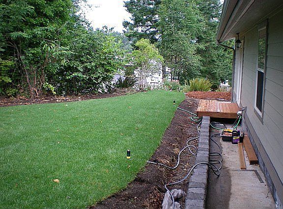 Side of house after lawn went in.