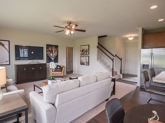 Model Representation