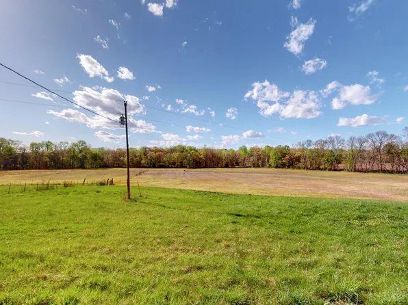 0 McElrath Rd, Dexter, KY 42036