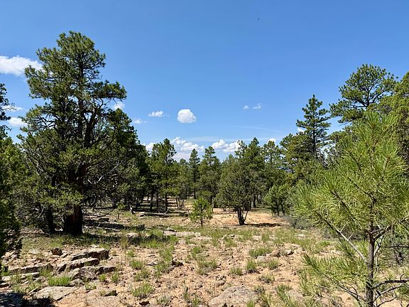 3rd image of 3 Leaning Pine Ln