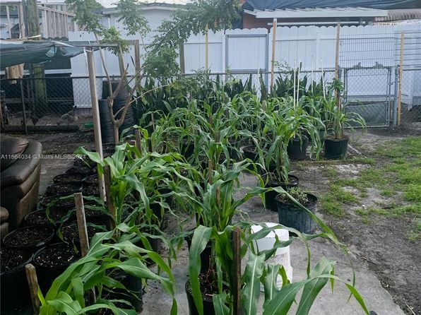 hialeah-florida-43961794 picture