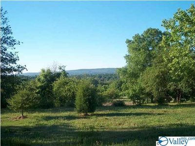 25280 Al Highway 176, Collinsville, AL, 35961