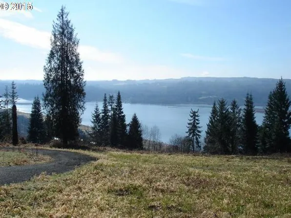 171 Newt Estates Rd W, Longview, WA 98632