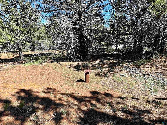 5th image of 508-995 Stone Rd