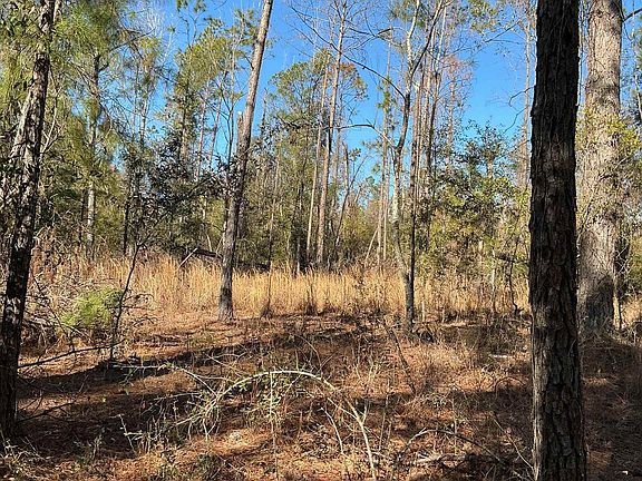 2nd image of NE Blue Ridge Landing Ave