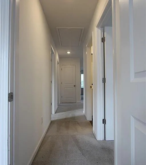 15104 Turkey Creek Blvd — Photo 15