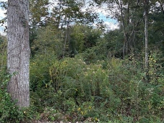 3rd image of Cornerview Rd