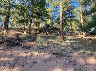 57 Rainey Dr, Woodland Park, CO 80863