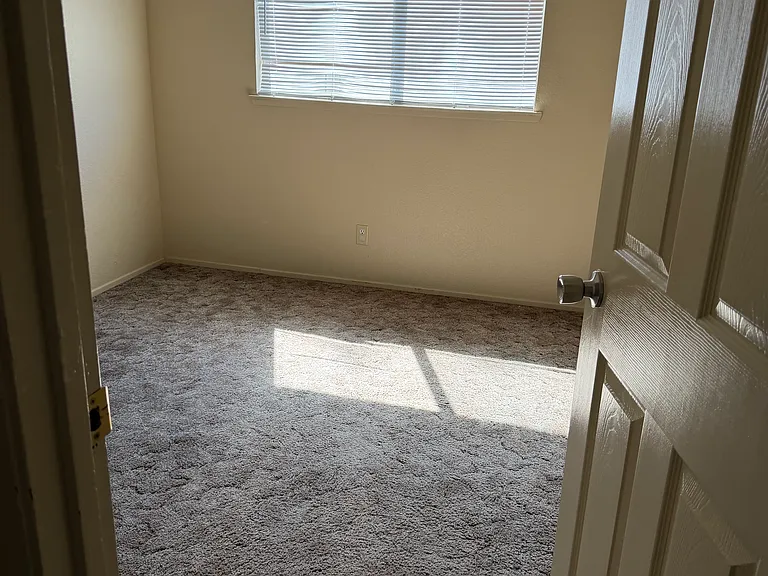 1603 Wildflower Cir — Photo 4
