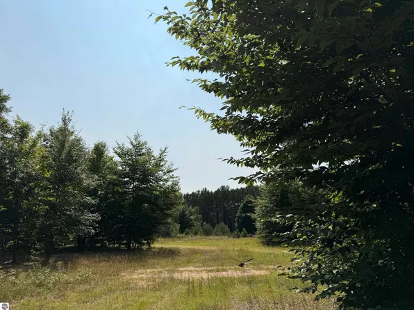 0 Landis Rd, Thompsonville, MI 49683