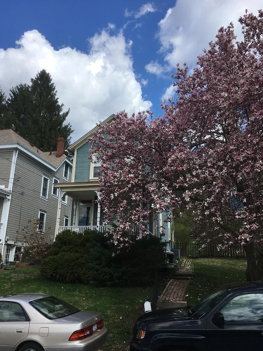322 Highland Ln photo 1