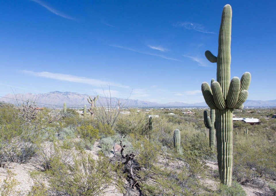 1st image of 2502 N Camino De Oeste