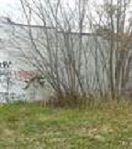 2nd image of 13814 Joseph Campau St