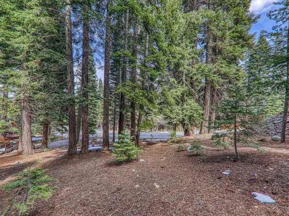 12388 Falcon Point Pl, Truckee, CA 96161