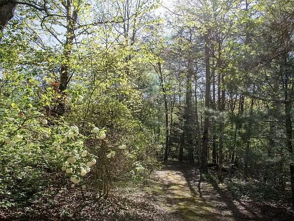 36th image of this home