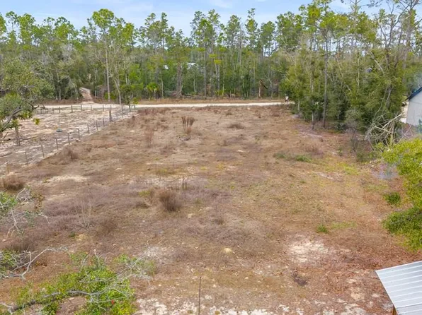 0 White Oak Dr, Steinhatchee, FL 32359