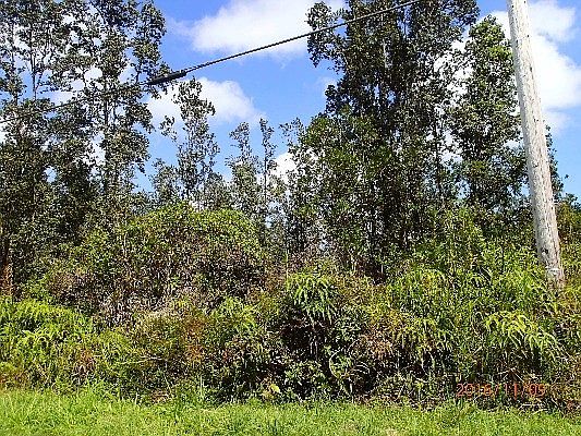 5th image of 11-2852 Plumeria St Lot 6436