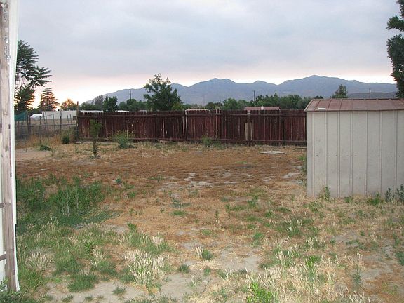 Back Yard View