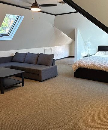 Main room, fold out couch, coffee table, ceiling fan