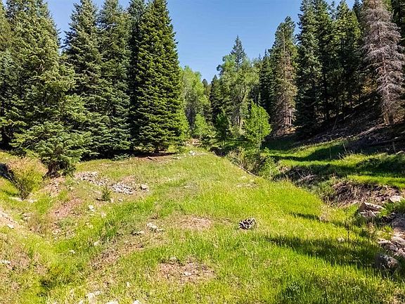 5th image of 10875 County Road 501