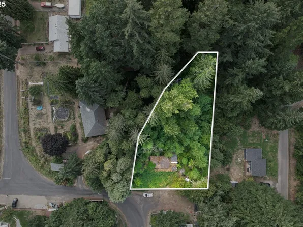 141 Carson Creek Rd, Carson, WA 98610