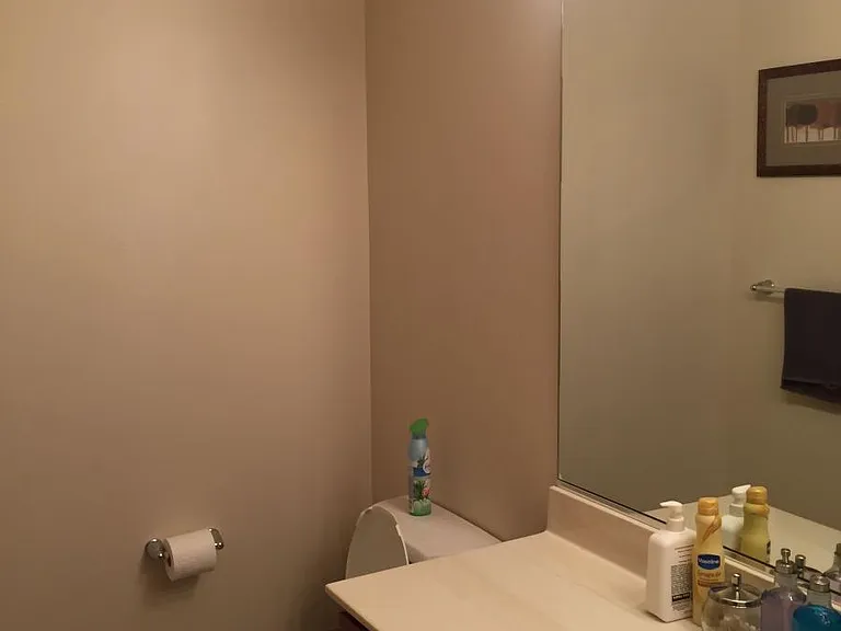 1224 W Van Buren St #413 — Photo 10