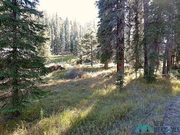 4th image of LOT SW 9xn Willow Creek Ranch Rd