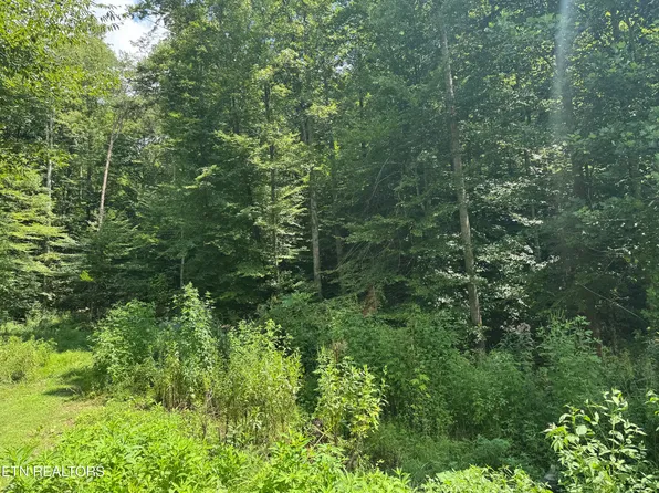 557 Half Moon Rd, Oliver Springs, TN 37840
