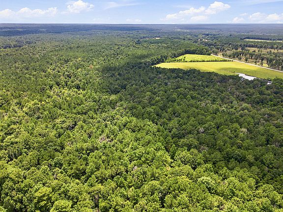 4th image of 491 Rawls Springs Loop Rd