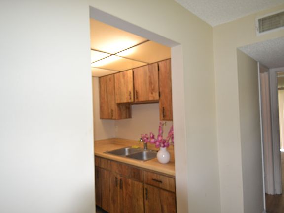4th image of 24862 Us Highway 19 N APT 2406