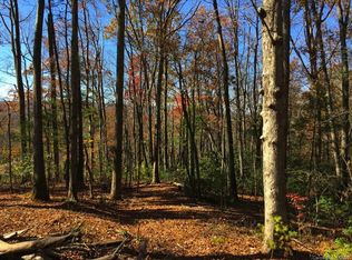 LOT W1 Curtain Blf, Hendersonville, NC 28791
