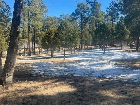102 Fawn Ct #1, Alto, NM 88312