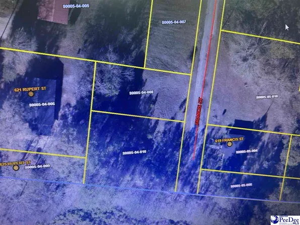 Francis St, Lake City, SC 29560