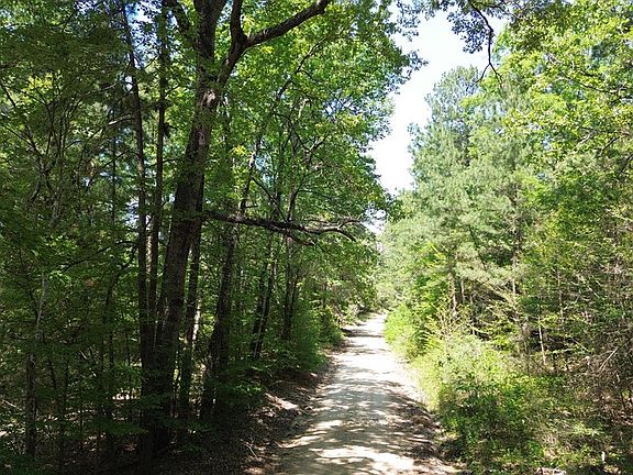 3rd image of PARCEL 41620 County Road 4720