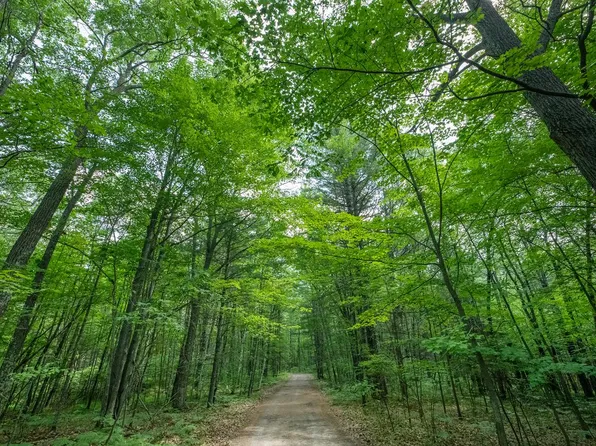 LOT 3 Lake Mildred Rd, Rhinelander, WI 54501