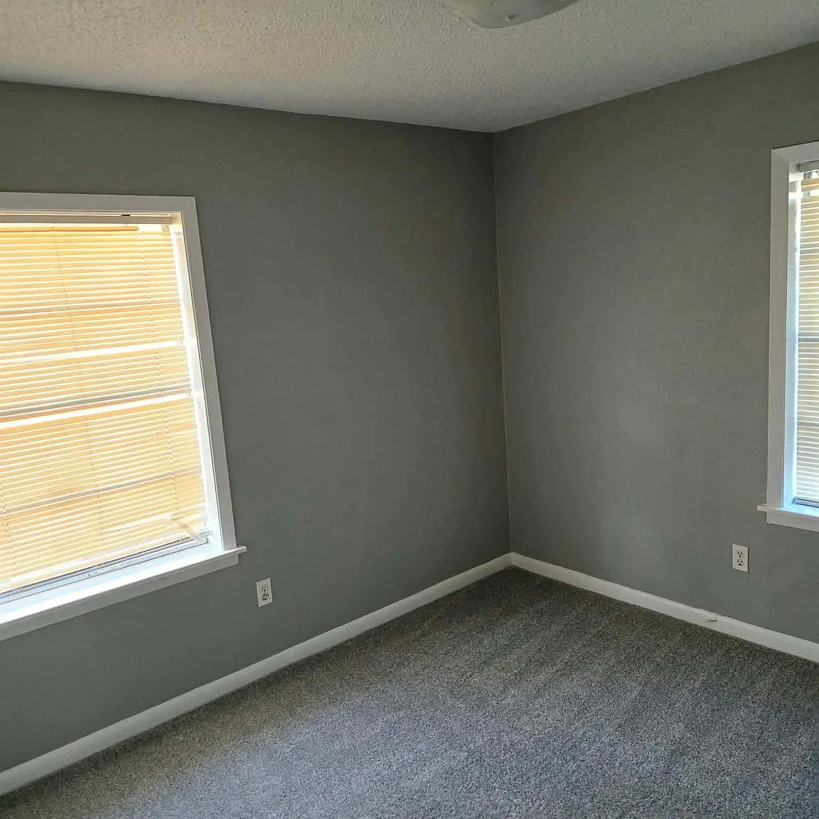 3 bed, 1.0 bath, 1315 sqft, $1,750 — Photo 3